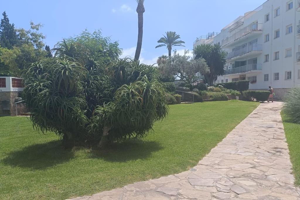 Apartamento 1ª Linea De Playa Alicante Eksteriør bilde